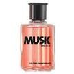 MUSK ENERGY